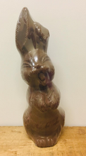 Load image into Gallery viewer, Everfresh 200g Milk Chocolate Bunny
